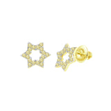 Miraculous star earrings- 925 SILVER EARRINGS I 9211651