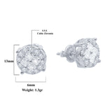 Glisten Screw Back Earrings | 9212471