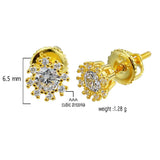 ENTICING Screw Back Earrings |9211292